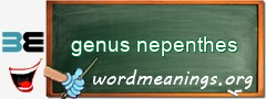 WordMeaning blackboard for genus nepenthes